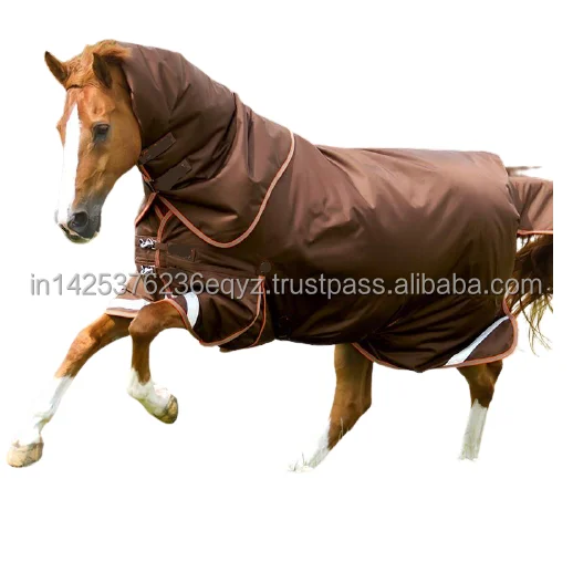 8-removebg-preview (1).png