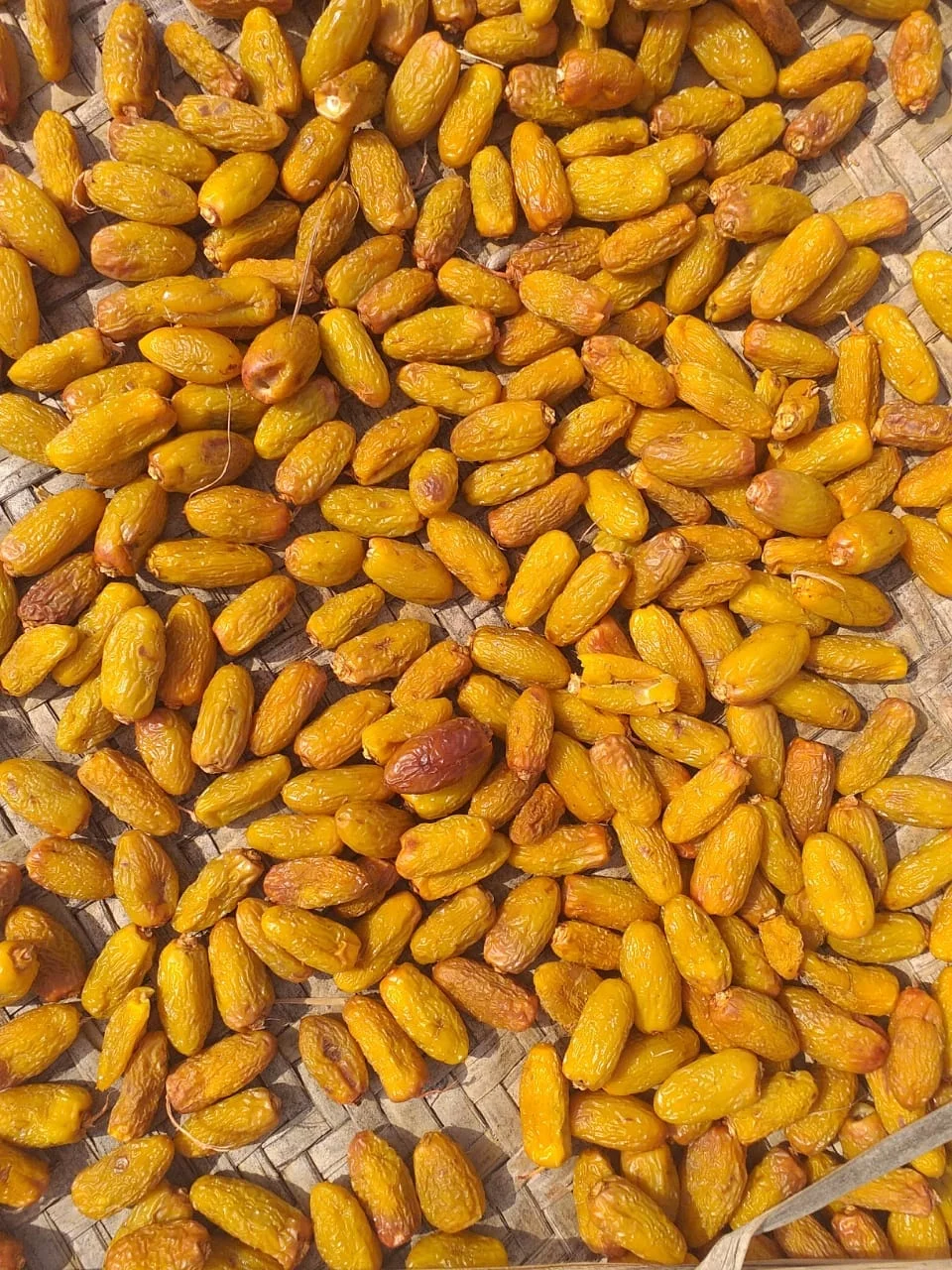 The Dry Fruits  Dry Dates dry Khajoor  Dry Chohara Dry Dates Exporters Pakistan
