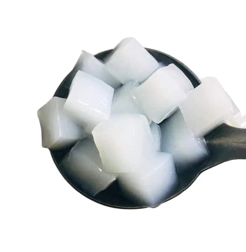 NATA DE COCO/ COCONUT JELLY made in Viet Nam 100% Natural High Quality Delicious Jelly Healthy Food for SALE