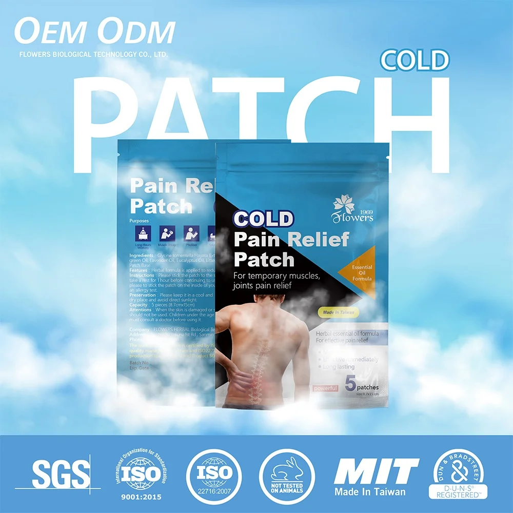 Amazon Hot Sale Tradition herbal Chinese Medicine Pain Relief Patch Salonpas For Muscle Ache