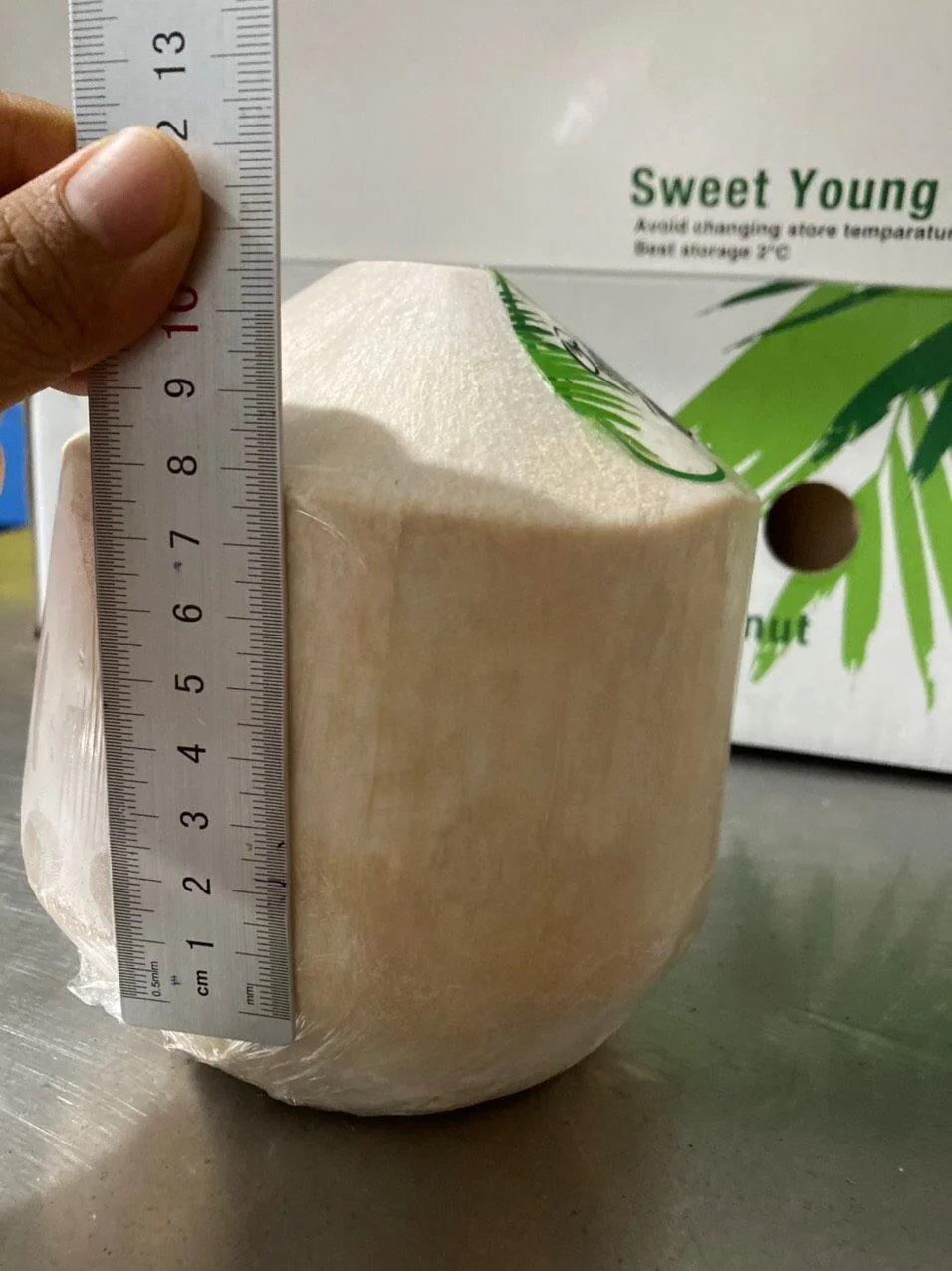 Ben Tre siamese coconut water diamond shape has the aroma of coconut with a sweet taste from factory Vietnam