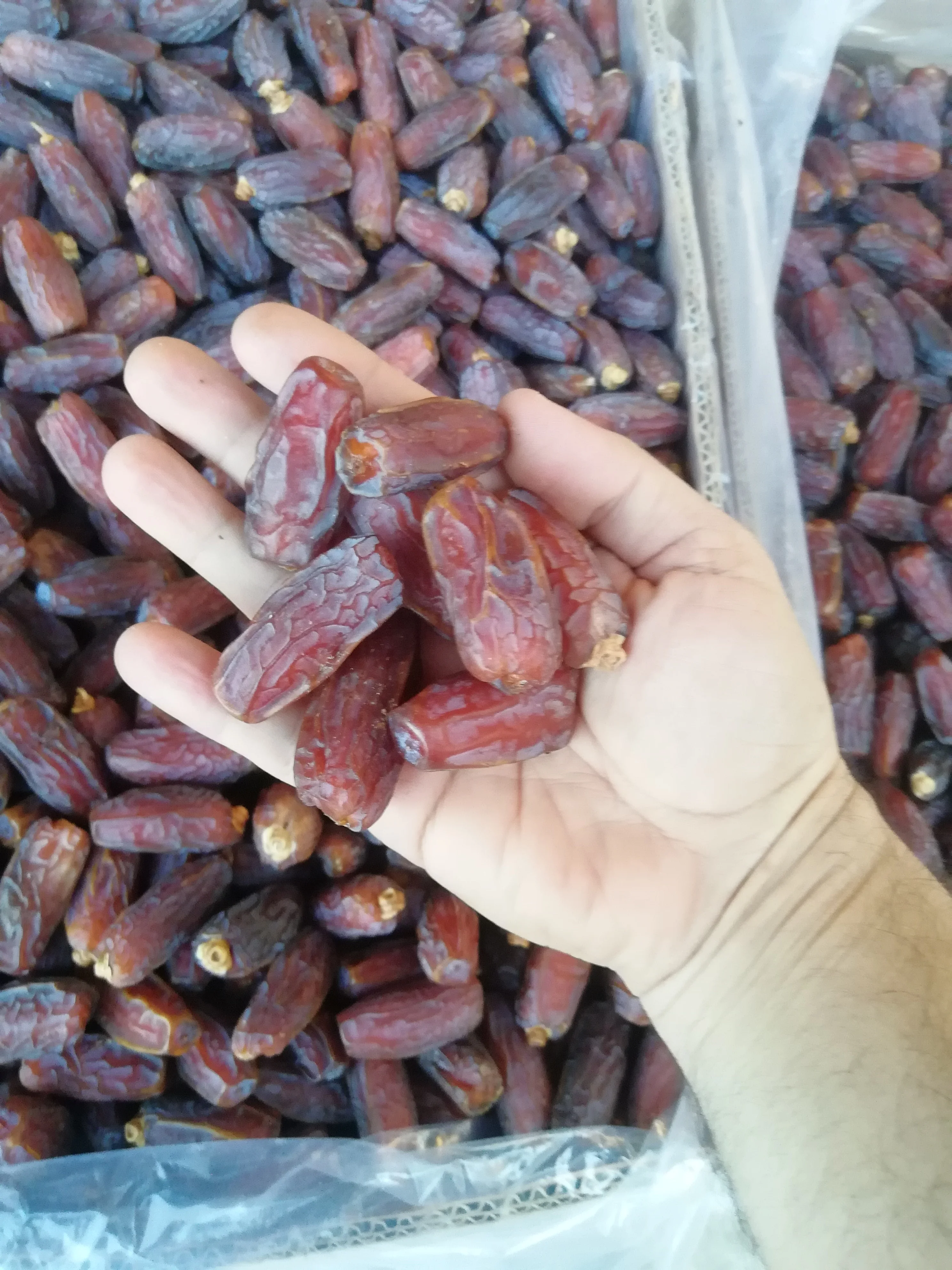Mabroom dates for high and quick sales Ye Zao Yezao Dates for China Market from Saudi Arabia top grades competitive prices