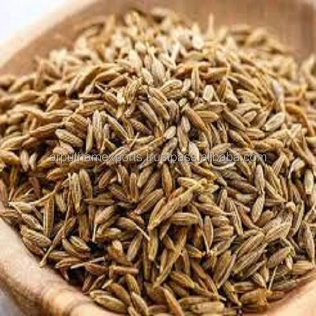  Специи 100% гарантированные семена тмина