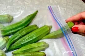 Vietnam Frozen Okra Cheap Okra ANGLE