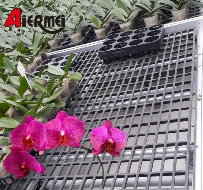 Efficient Plant propagation table Farm planting zone Efficient Hyacinth Lavender Freesia Geranium Cedar Rhododendron BNH-554