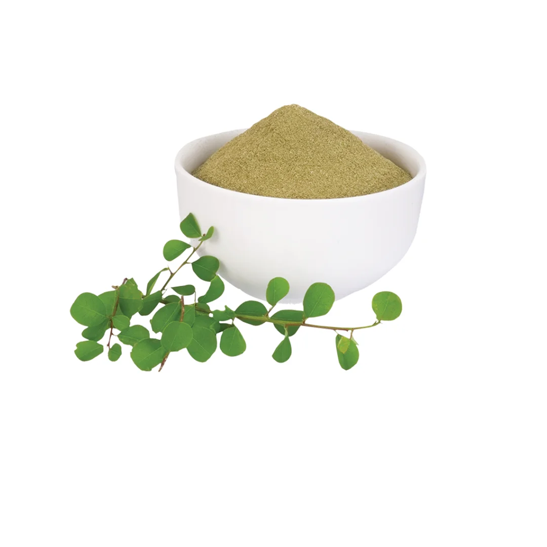 Premium Organic Katupila Fresh Herbs: Handpicked, Naturally Grown, Farm-Fresh Quality