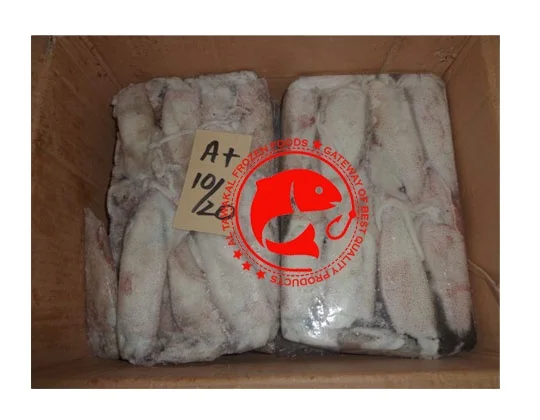 Whole Frozen Loligo Squid in Bulk Pakistani Origin Frozen Loligo Squid High Quality Whole Loligo Squid