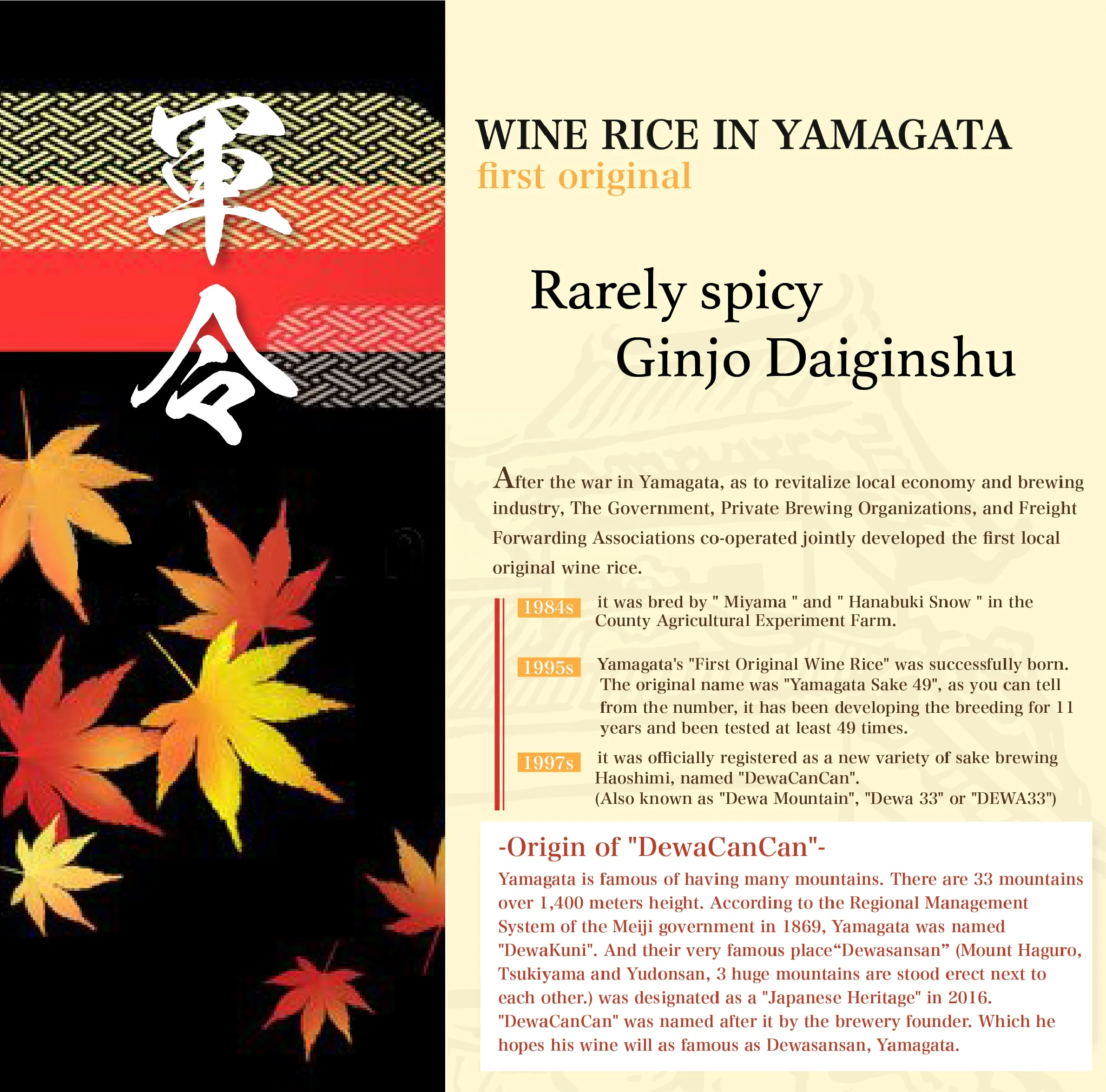 Gunrei High Quality Junmai Daiginjo Popular Japan Sake Wine Beverage 300ml per bottle