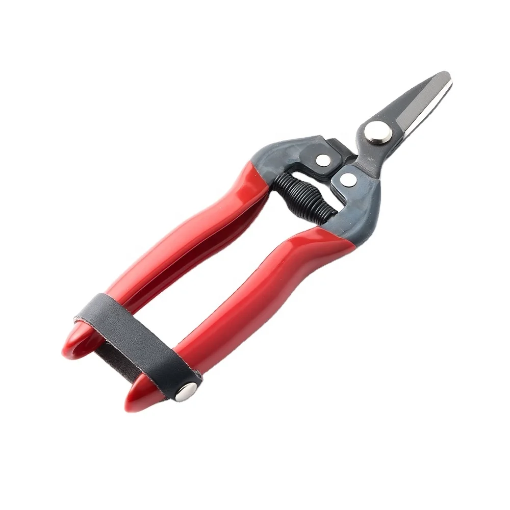 Kwang Hsieh Curved Floral Pruner for Grape Pruning and Fruit Trimming