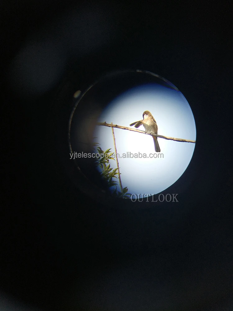 Маленький телескоп с треногой AAA, 20-60x80, точечная труба, бинокулярный телескоп для наблюдения за птицами.