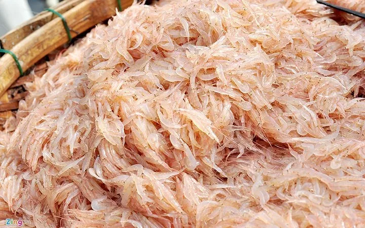 HOT SALE - VIETNAM SALTED BABY SHRIMP TO EXPORT WITH HIGH QUALITY AND BEST PRICE - SEAFOOD SUPPLY