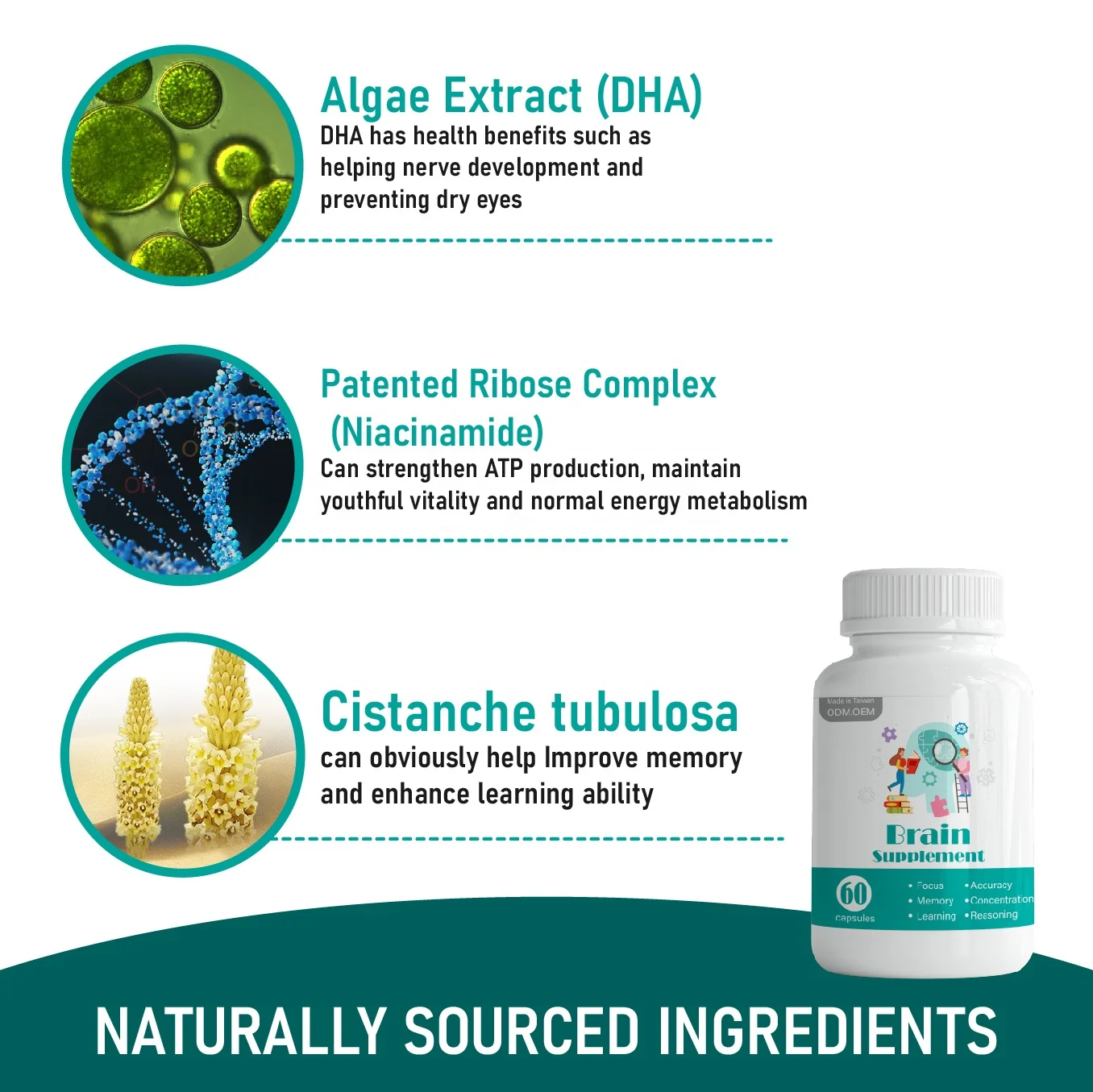 Memory Concentration Learning Accuracy Reasoning B6 Brain Support Supplement Manufacturer Brain Vitamina B12 Capsule Popular