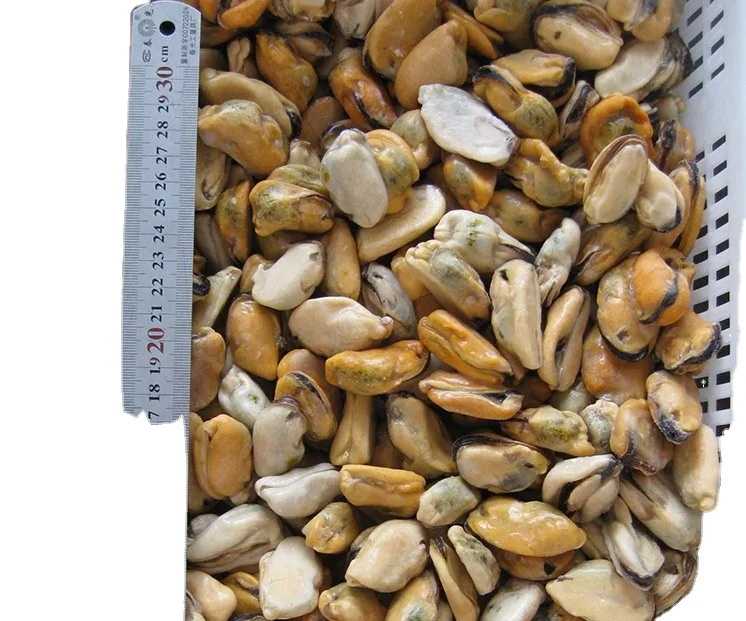 Hot Sale Chinese Seafood Boiled Frozen Mussel Meat with shell or half shell  or without shell