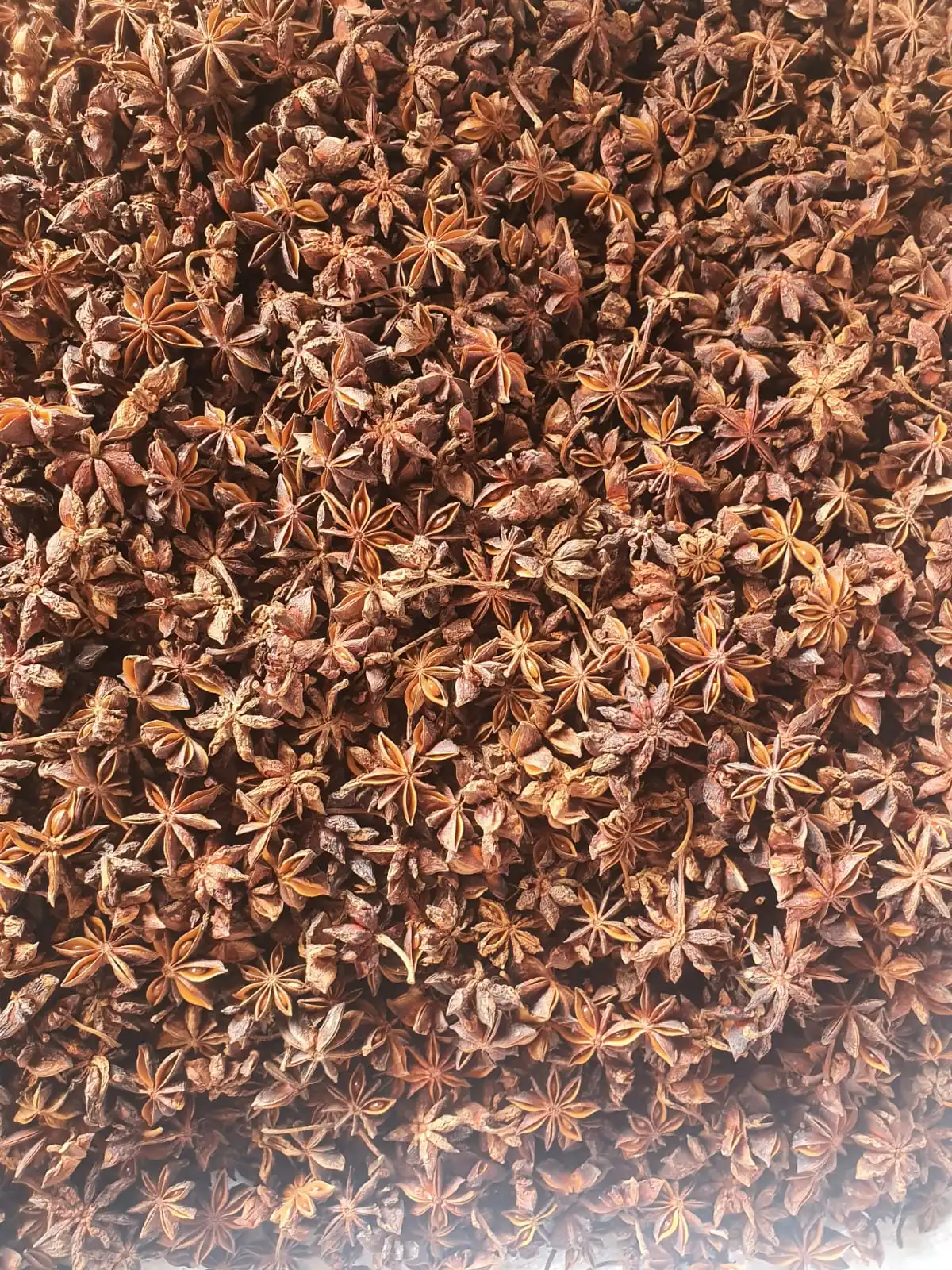 Autumn Star Anise From Vietnam, Factory Wholesale Customized Spices Dried Star Anise Star Aniseeds 2022