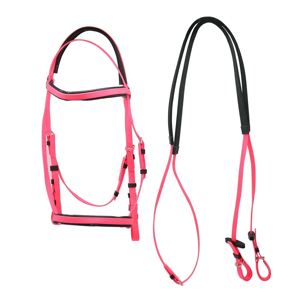 Horse Bridle And Reins