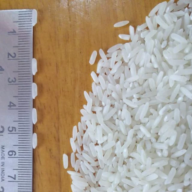 Top Quality Non Basmati Short Grain Swarna Rice for Export from India