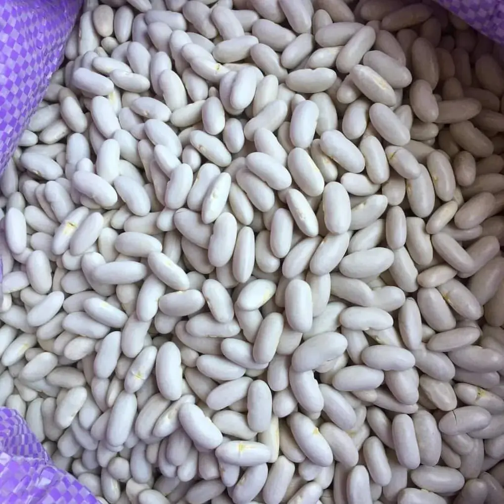 Оптовая продажа, Высококачественная фасоль для продажи, сушеная белая фасоль высшего качества, белая фасоль для продажи