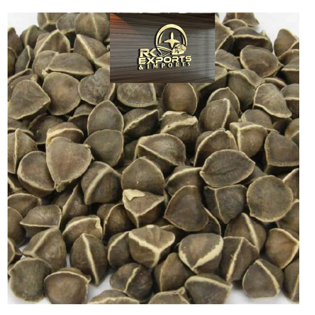 PKM1 MORINGA SEED DRUMSTICK SEED wholesale supplier and exporter original PKM1/PKM2 VARIETY MORINGA SEED
