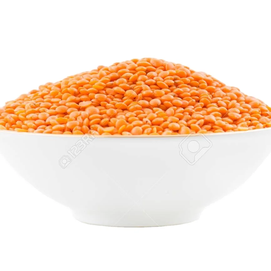 New Arrival masoor dal(red lentils) In Stock