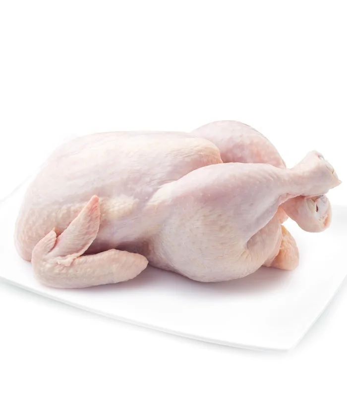 Nutritious Halal Freshly Processed Frozen Whole Chicken, Bone-in, Skin-on,Ready for Global Shipping