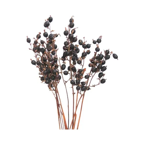 Assorted Size Natural Black Berry Stick for Home and Festival Decoration