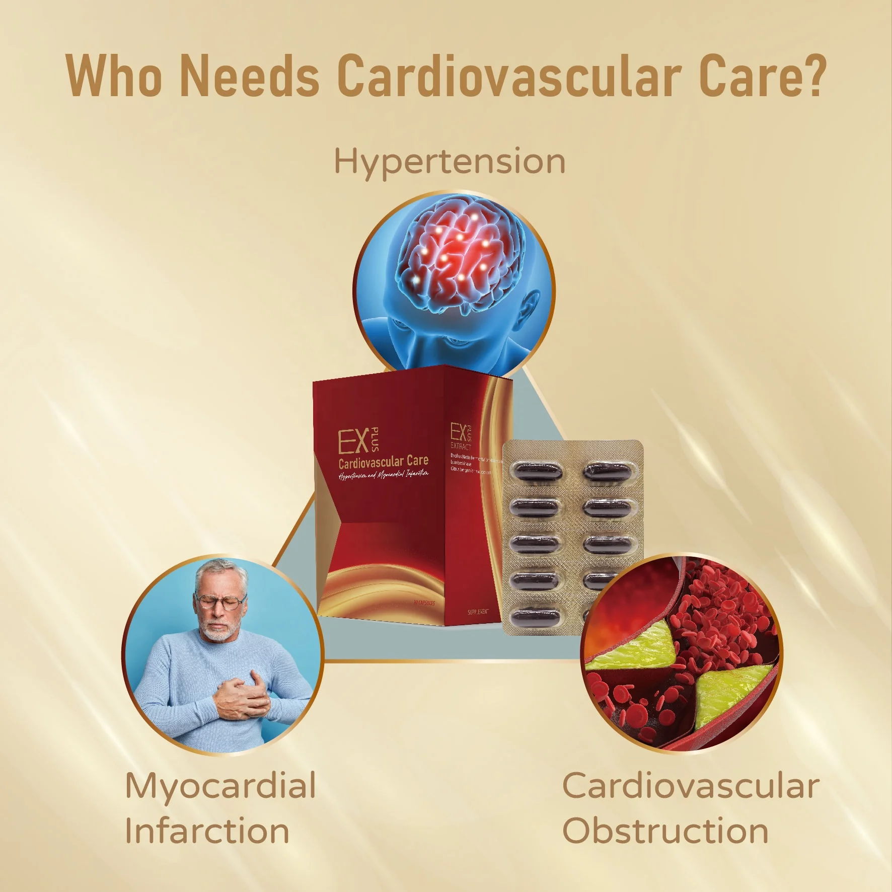 OEM ODM Private label Cardiovascular healthcare Natto fermentation Capsules