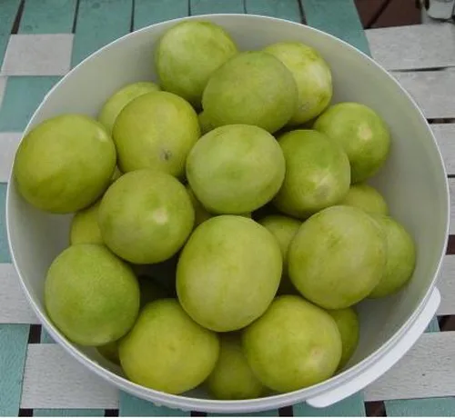 Азиатский традиционный маринованный Лайм лимонный рассол по низкой цене