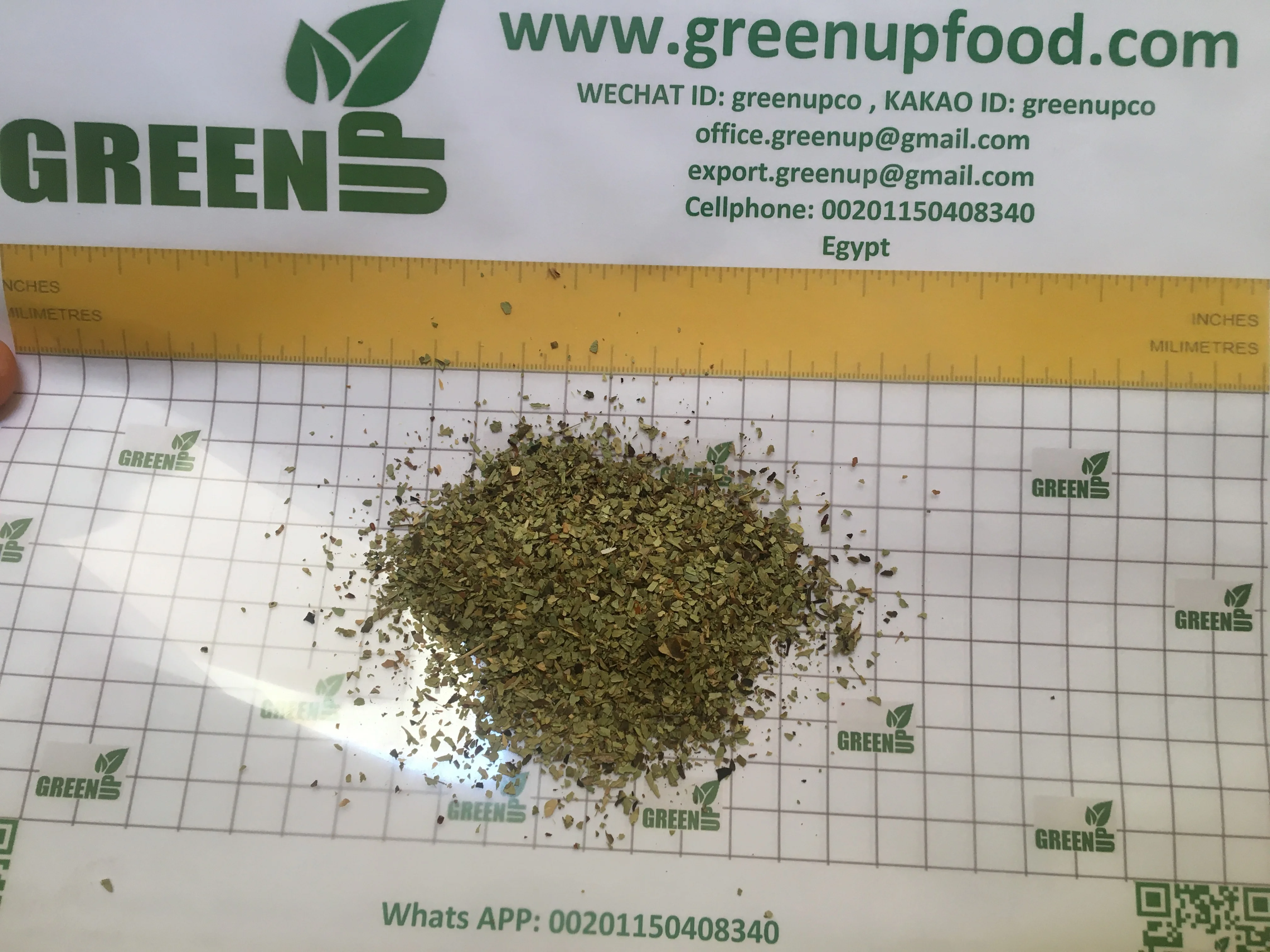 olive whole or crushed leaves green brown color no ash content no admixture no black leaves  no impurities fresh crops Oleaceae