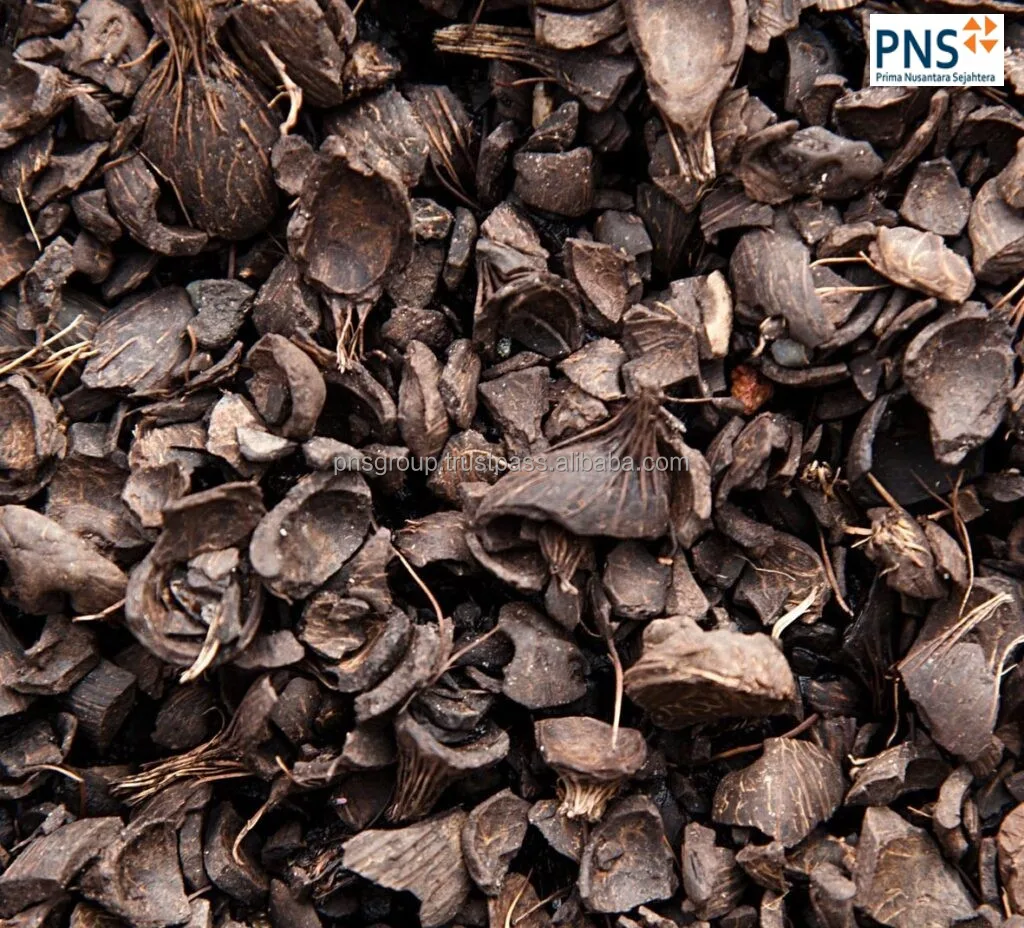 palm kernel shell biomass fuel high efficiency palm kernel for industrial boiler heating system and energy