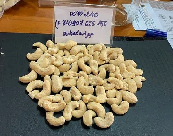 Premium Large Nuts - cashew nuts WW240 (220-240 seed/ pound) Vietnam origin available for export