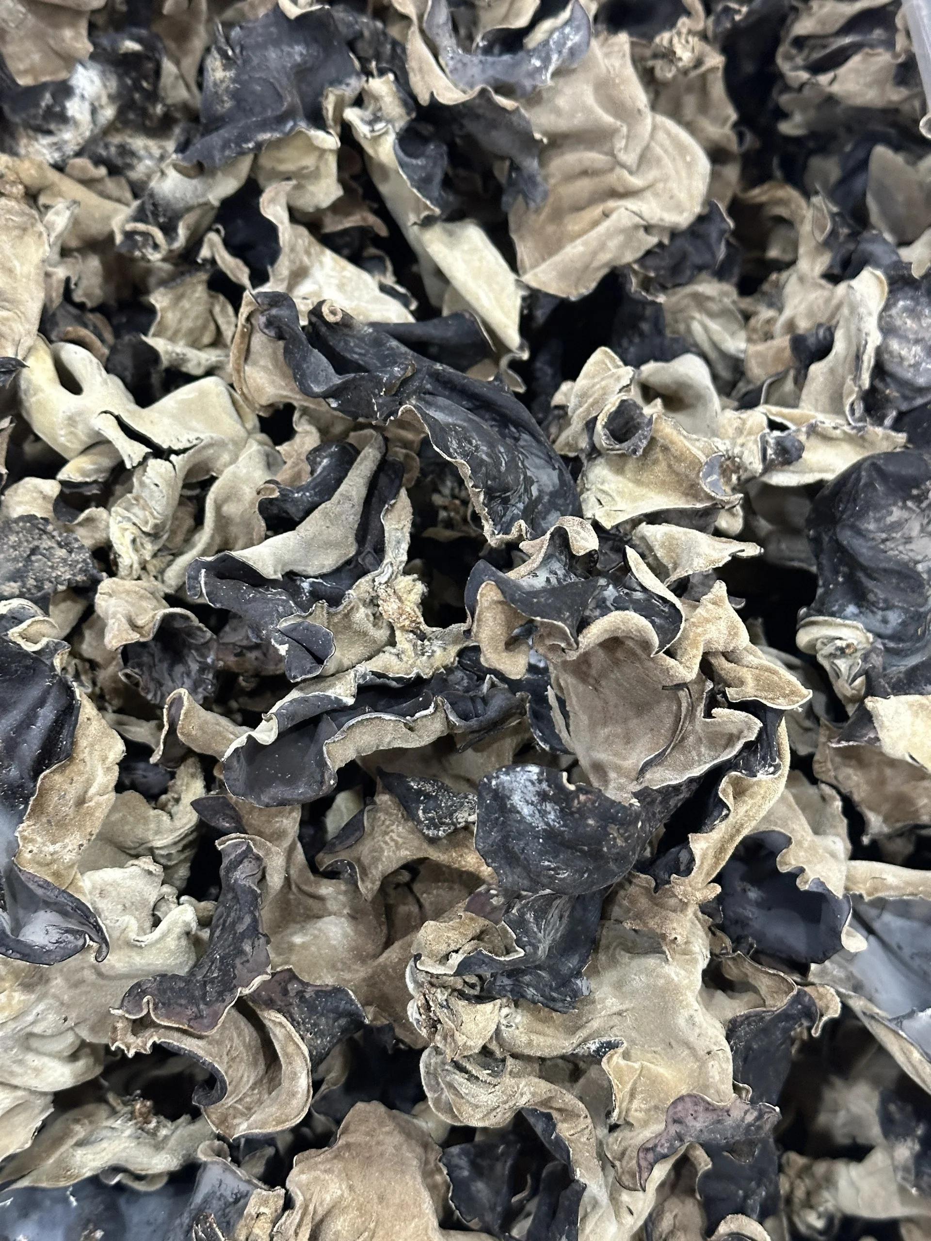 Wholesale OEM Bulk Packing Dried Kikurage Wood Ear Mushrooms for Soup Dried Black Fungus for Vegetarian