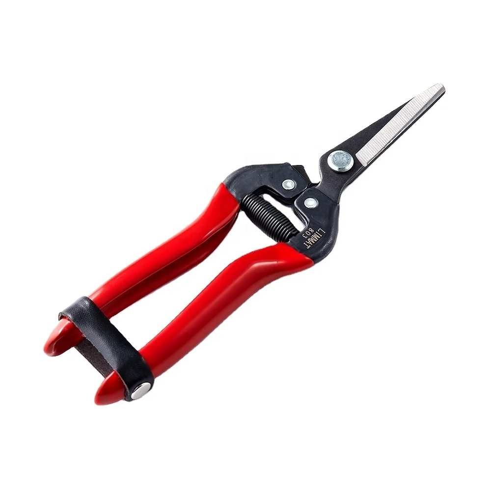 Kwang Hsieh Fruit Trimming Grape Cutting Scissors