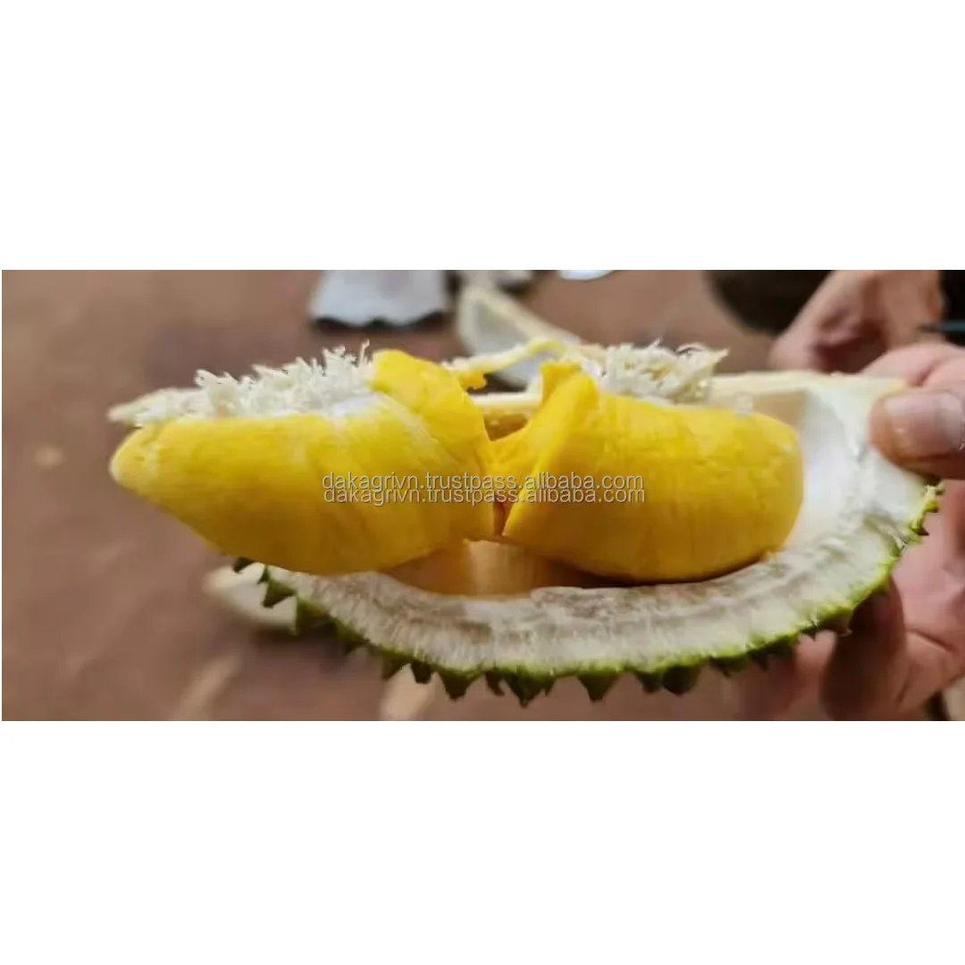 Organic High Quality King Durian Vietnam Agriculture Export Wholesale Fresh Durian With 20 days Shelf Life