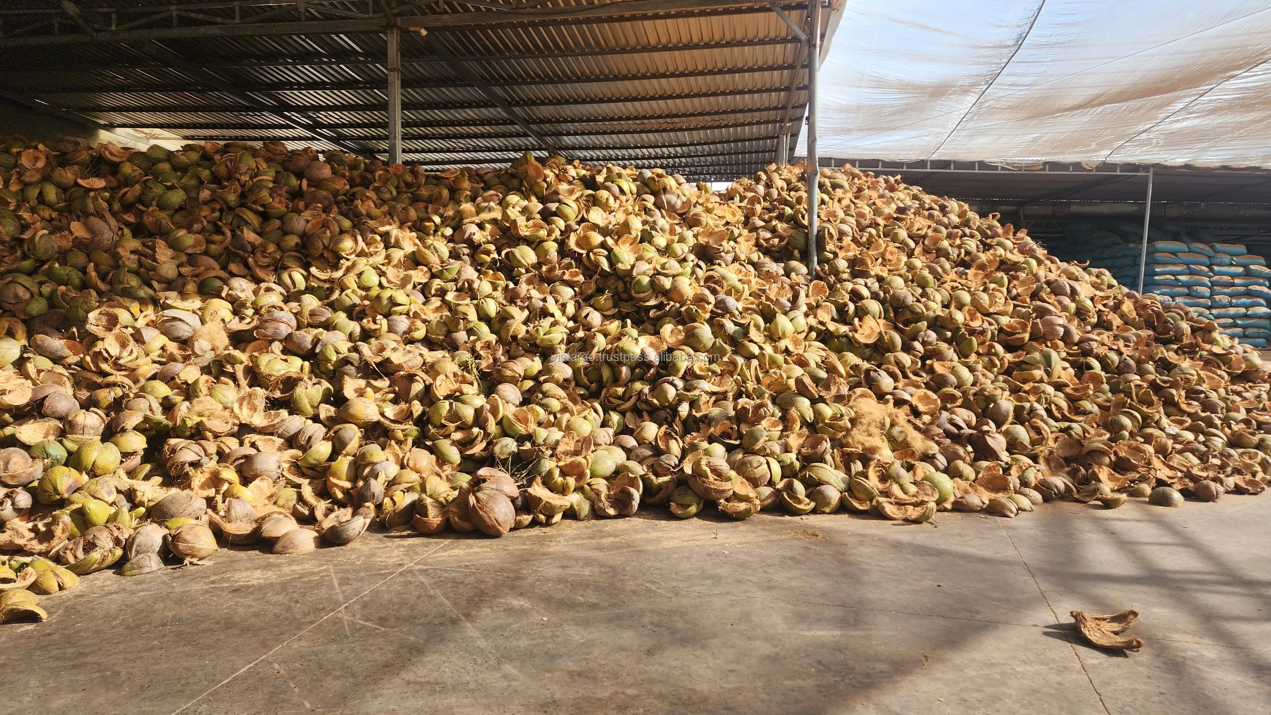 Hot Selling Natural Coconut Coir Fiber Organic  For Gardening Farming High Quality Ready To Export Vietnamese Manufacturer