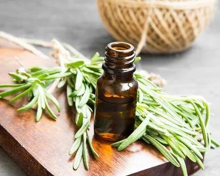 Top Quality Rosemary oil Manufacturer from India
