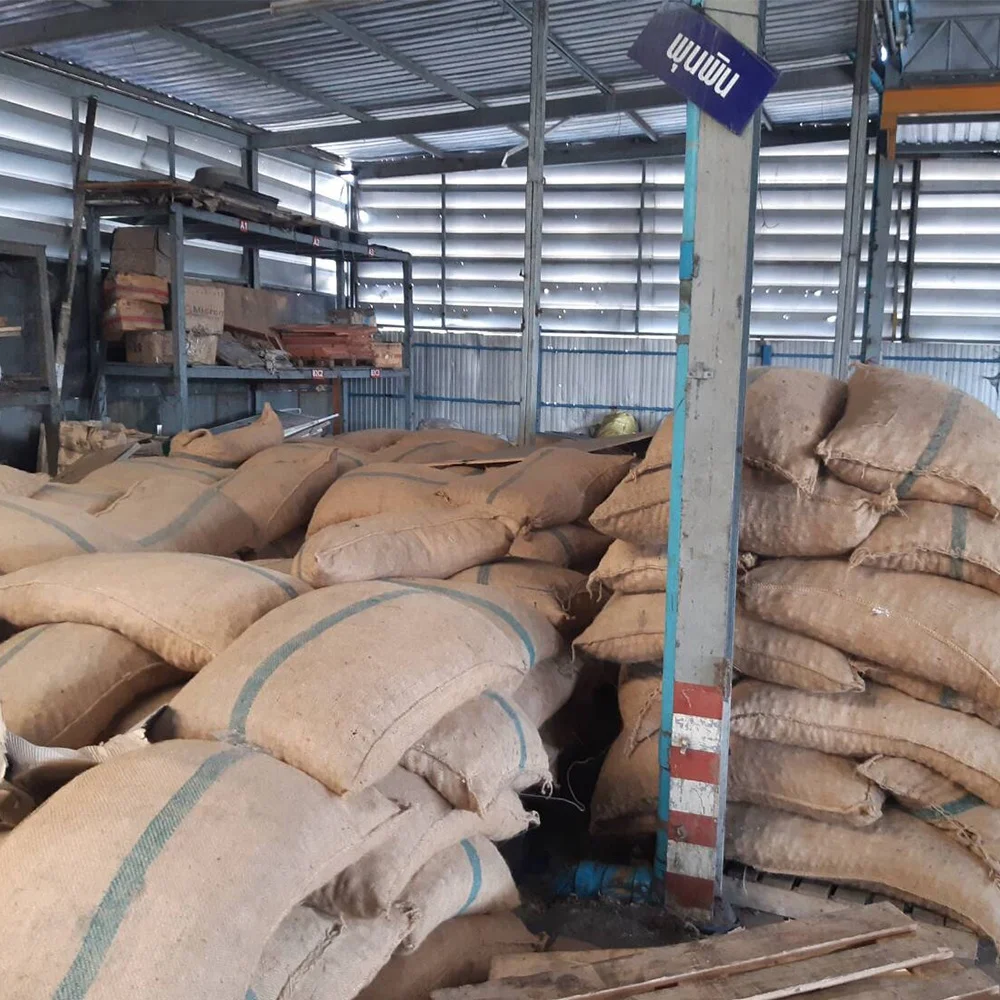 Best Selling Export Quality Areca Whole Betel Nut High Quality Betel Nuts Products From Thailand