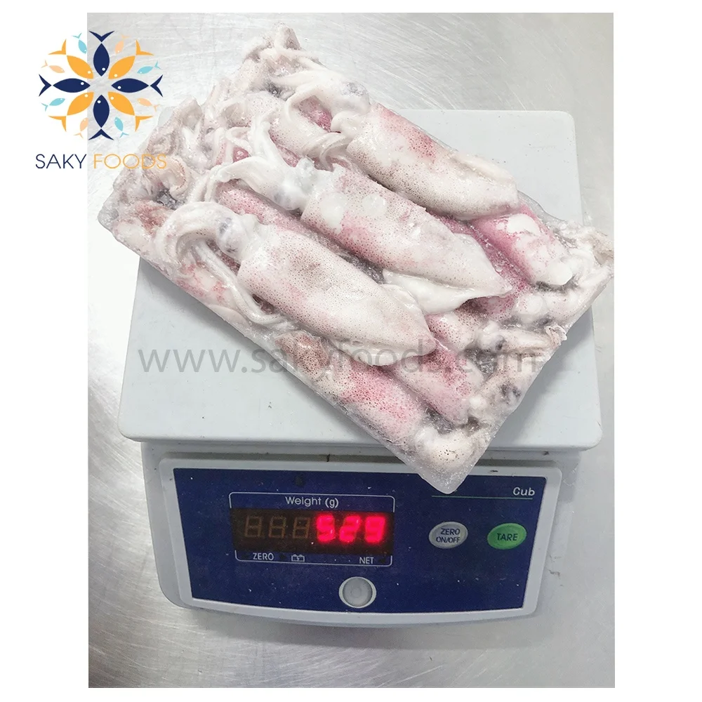 Frozen Seafood Black Whole Loligo Squid