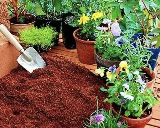 India Organic coir Pallet Bale USA Canada Hydroponics Coco Coir Cocopeat Coco Peat / coco disc / coco chips and grow bags