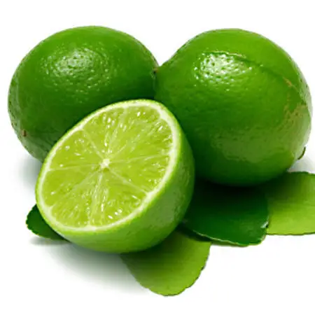 Fresh Lime/ Lemon from Vietnam for export