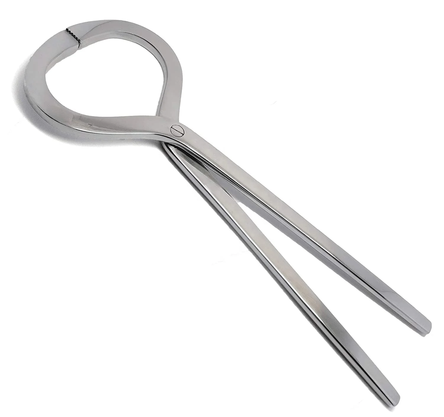 Horse Equine Heavy Duty Horse Hoof Nippers Farrier Tools and Veterinary Instruments Heavy Steel Material Farrier Tools