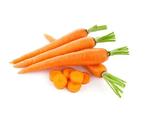 Fresh Carrots From Vietnam Organic