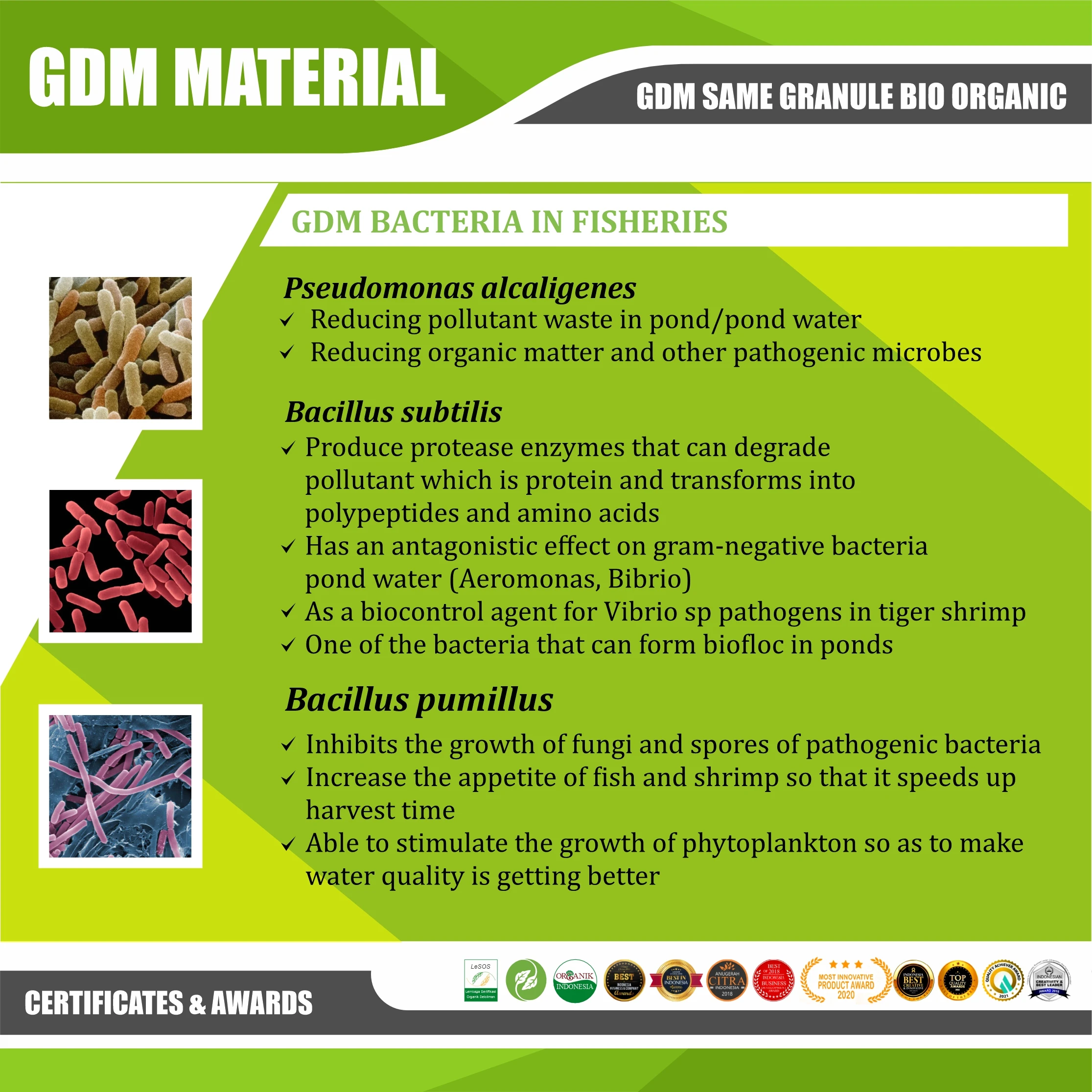 Granule BIO ORGANIC GDM SA-ME ORGANIC Fertilizer Repair Soil Ecosystem Prevent Soil Borne Disease Provide C-organic for Soil -