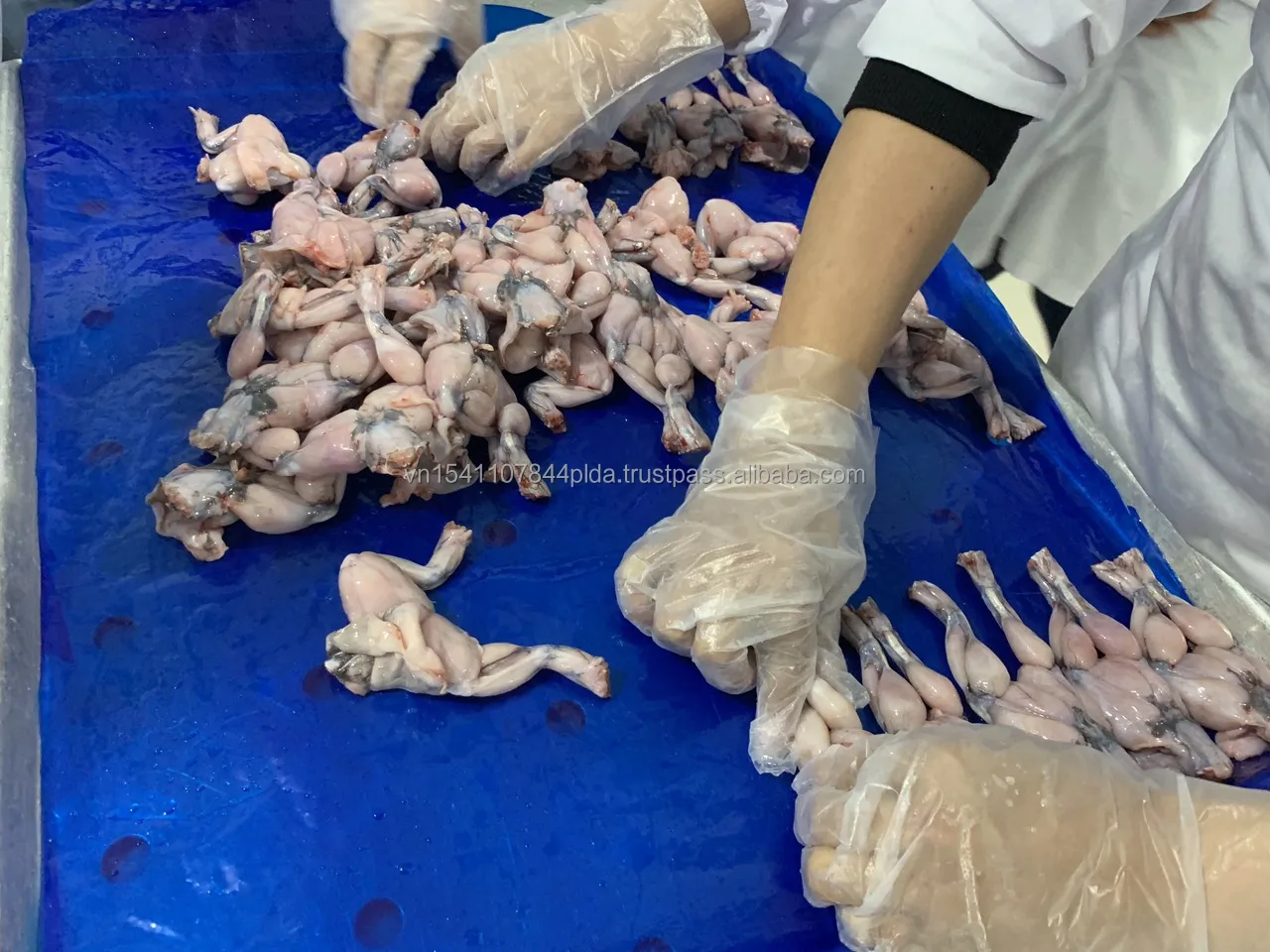 Оптовая Экспорт лягушка ноги замороженные продукты