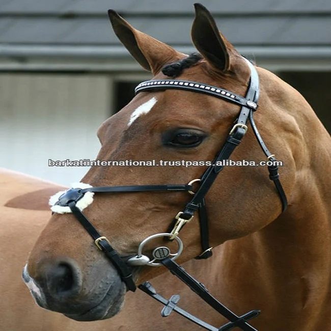 Horse Equine Products Anatomic Headpieces