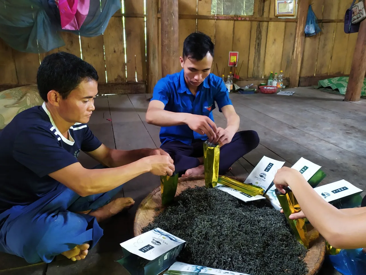 trading in dried green tea from 100 year old natural trees to ensure health and quality in Vietnam