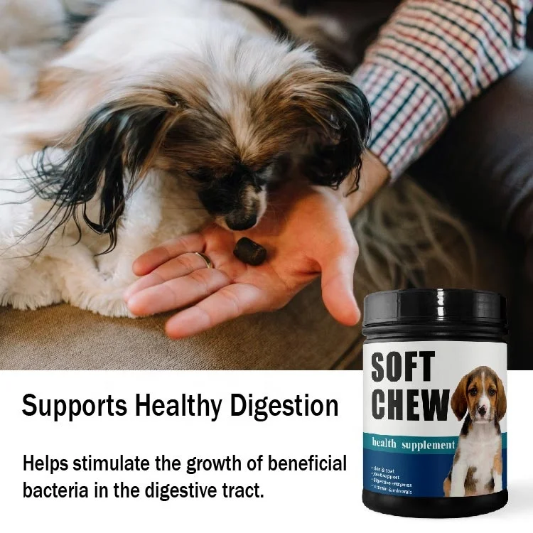 OEM & ODM, пробиотик для домашних животных, собака, Витаминная добавка, жевательные мышцы для собак, питательная Иммунная поддержка с высоким содержанием белка