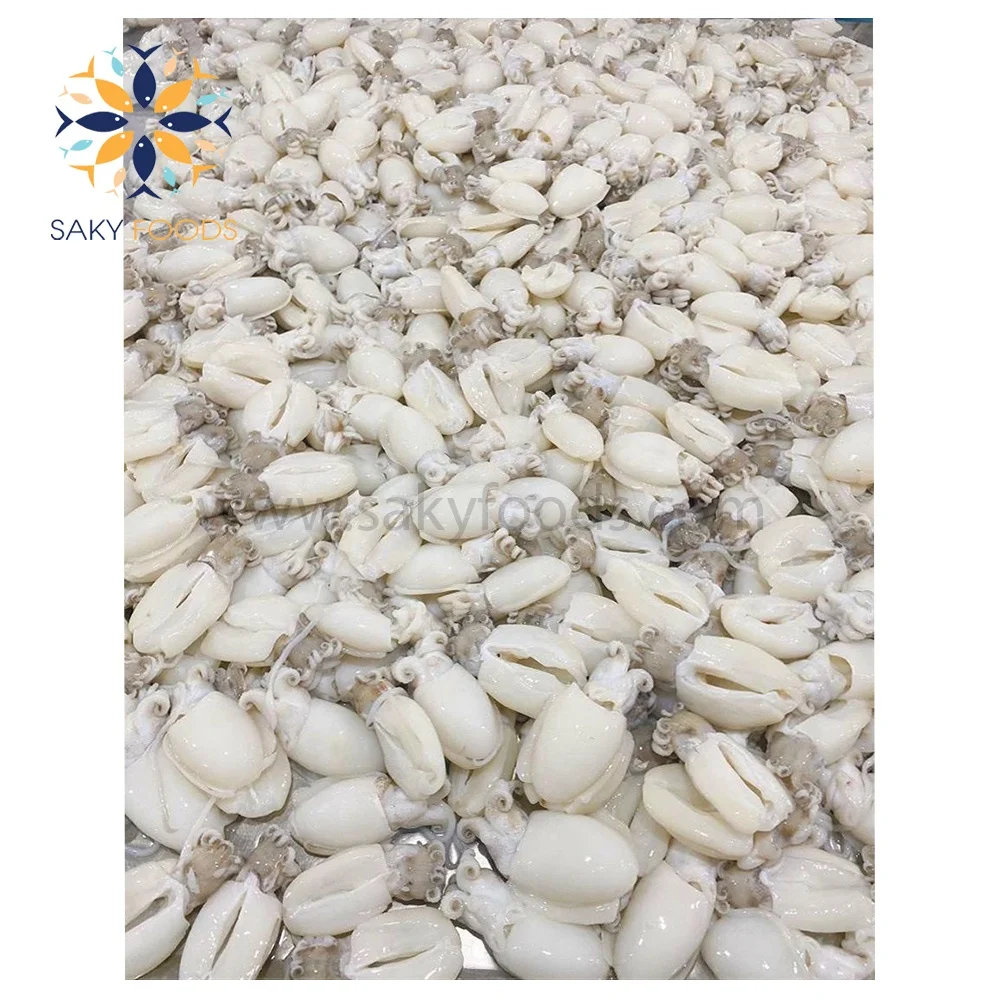 Fresh Cleaned Baby Cuttlefish Frozen For Exported From Vietnam