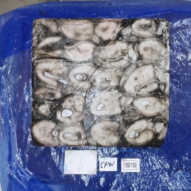 Высококачественная целая морская рыба из Индии