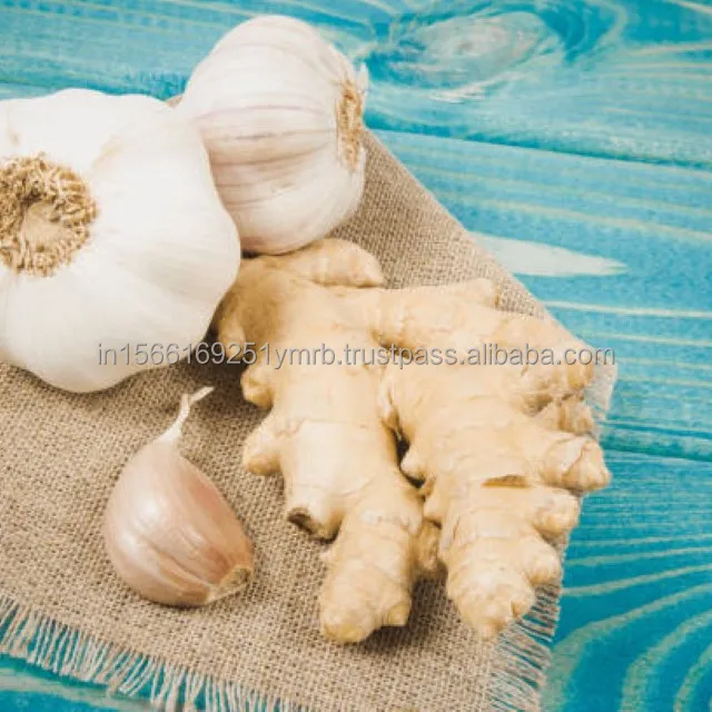 Factory Wholesale Price Fresh Purple White Supplier Export Good Quality Garlic