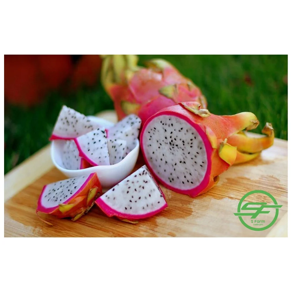 Fresh Sweet Dragon fruit Hot Selling Vietnam Export